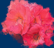Pink rose with blue von Myungja Anna Koh