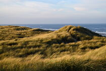 Sweeping dune landscape  von LE-gals Photography