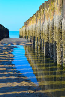 Shadow and reflection of wooden poles of sea defense in the sand on a North Sea beach von LE-gals Photography