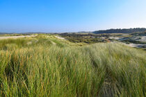 Rustic, idyllic sand dune landscape  by LE-gals Photography