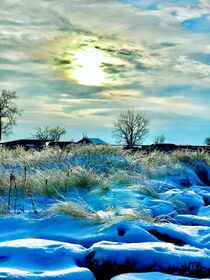 Winter by eddie-druid