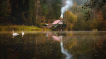 Autumn on Pond Doly by Tomas Gregor