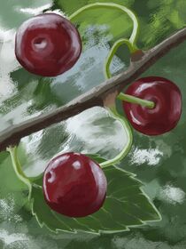 Sketch with cherries on a branch by Vladimir Tuzlay