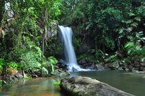Wasserfall Regenwald von markus-photo