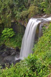 Wasserfall Dschungel von markus-photo