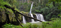 Wasserfall Regenwald by markus-photo