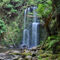 Dsc-0866-beauchamp-falls-great-otway-national-park