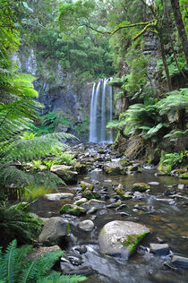 Wasserfall Regenwald von markus-photo