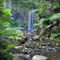 Dsc-0906-hopetoun-falls-great-otway-national-park