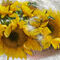 Sunflower-anna