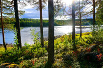 Schwedisch Lappland am Fluss Vindelälven Naturreservat by Mellieha Zacharias