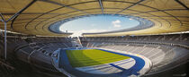 Berlin Stadion von Steffen Grocholl