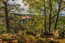 Blick durch die Bäume auf Burg Wildenstein vom Bandfelsen aus gesehen - Naturpark Obere Donau von Christine Horn