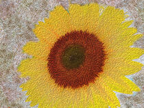 Sunflower by Myungja Anna Koh