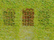 Glitch art on window with grating covered with ivy by susanna mattioda