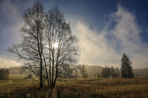 Sonne und letzte Nebelschleier im Irndorfer Hardt - Naturpark Obere Donau von Christine Horn