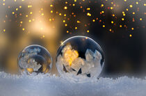 Frozen soap bubble by Margit Kluthke