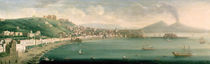 View of Naples from the west by Gaspar Butler