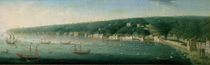 View of Naples from the east by Gaspar Butler