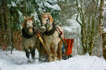 Winterliche Kutschfahrt durch den Wald. Kaltblüter Pferde gemalt. von havelmomente