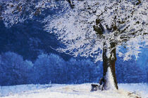 Raureif im Winter. Winterlandschaft mit Baum auf Anhöhe. Gemalt. von havelmomente