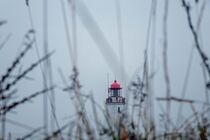 Leuchtturm Hiddensee  von Birgit  Fischer