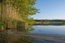 Pond near Mönau in the Upper Lusatian Heath and Pond Landscape von Holger Spieker