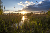 Sun over the pond by Holger Spieker