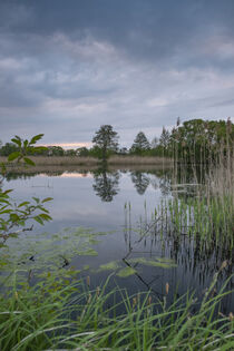 Pond near Mönau in the Upper Lusatian Heath and Pond Landscape by Holger Spieker