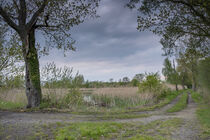 Path in the pond area near Mönau in Upper Lusatia by Holger Spieker
