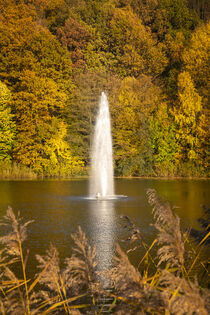 Water fountain in the reservoir Sohland/Spree von Holger Spieker