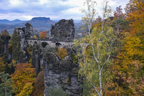Die Basteibrücke im Herbst von Holger Spieker