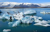 Blick über Islands Gletschersee Jökulsarlon by Ulrich Senff
