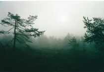 Nebel im Moor von Raingard Göbel