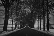 Winter Road von lzb-fotografie