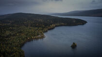 Lakeshore with forest at a lake in Lapland in Sweden from above von Bastian Linder