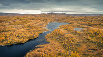 Lake at mountains with yellow trees in autumn along the scenic Wilderness Road in Lapland in Sweden from above von Bastian Linder