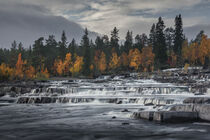 Trappstegsforsen waterfall in autumn along the Wilderness Road in Lapland in Sweden by Bastian Linder