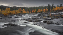Trappstegsforsen waterfall in autumn along the Wilderness Road in Lapland in Sweden von Bastian Linder