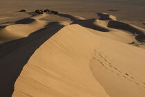 Dunes de Tinfou by Ansgar Meise
