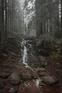 Waterfall in foggy, mossy coniferous forest of the Skuleskogen National Park in the east of Sweden by Bastian Linder