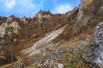 Kalksteinfelsen bei Fridingen im Naturpark Obere Donau by Christine Horn