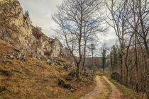 Wanderweg bei Fridingen - Naturpark Obere Donau von Christine Horn