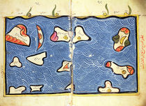The Indian Ocean by Abu Muhammad Al-Idrisi or Edrisi
