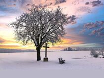 Baum mit Feldkreuz im Winter von wolfpeter