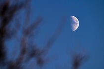 Mond von Stephan Zaun
