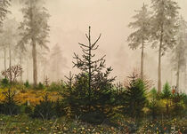 November Forest von winter-frost-artwork