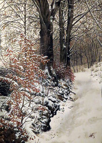 Baumgruppe im Winter von winter-frost-artwork
