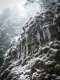 Triefender Stein by winter-frost-artwork