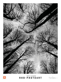 'Wind in den Bäumen' von Robert H. Biedermann